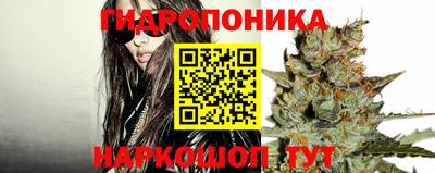 СК Коломна