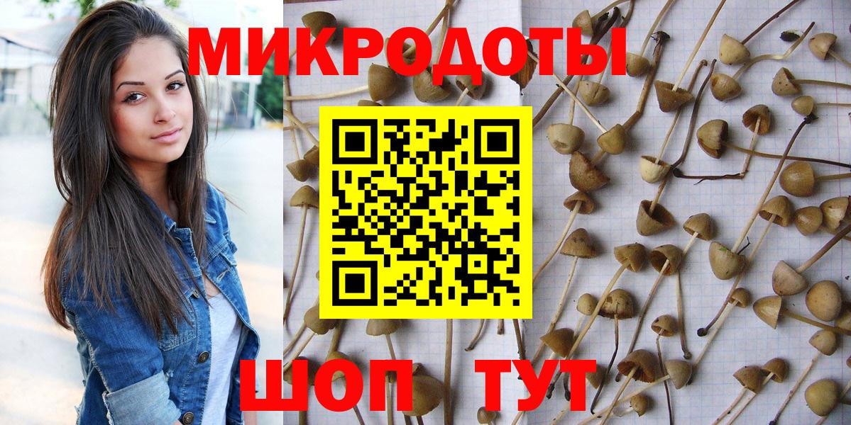Белорецк  Галлюциногенные грибы прущие грибы  Вход с VPN 