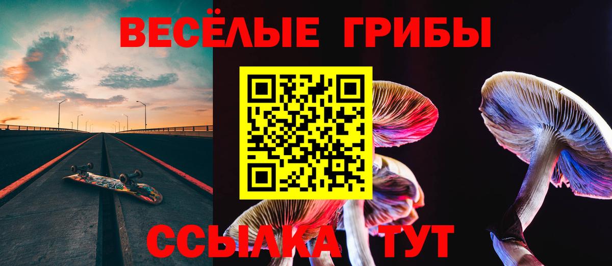 Галлюциногенные грибы Psilocybe Белорецк